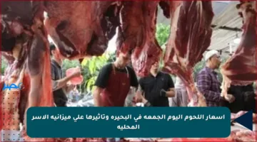 أسعار اللحوم اليوم الجمعة في البحيرة وتأثيرها على ميزانية الأسر المحلية